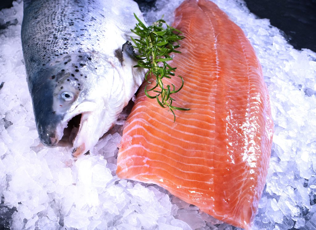 Salmon filet on ice