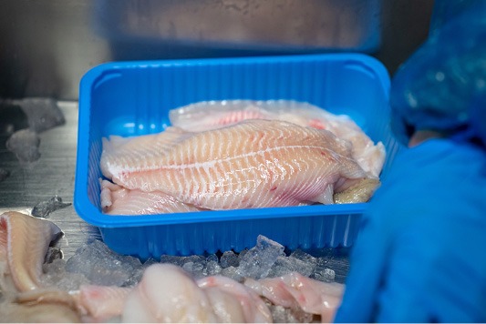 Plaice fillet in a tray