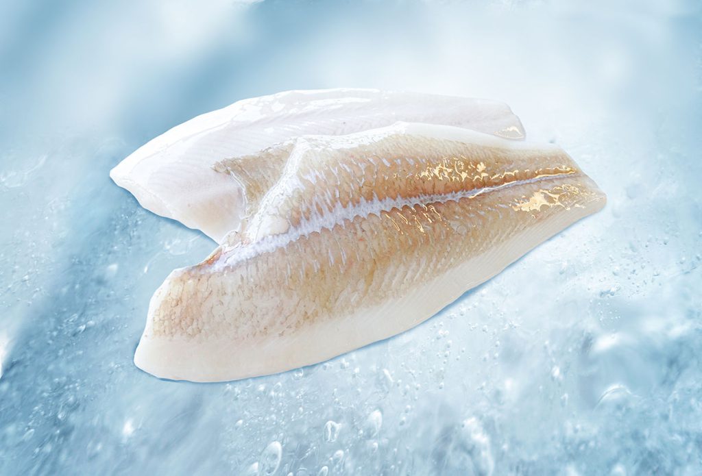 Plaice fillet fish