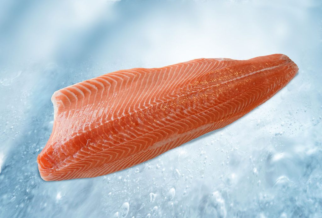 Salmon fillet fish