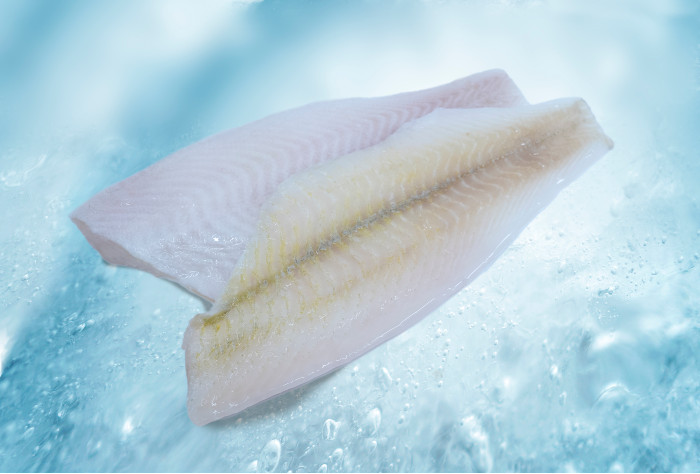 Alaska Plaice Flatfish 