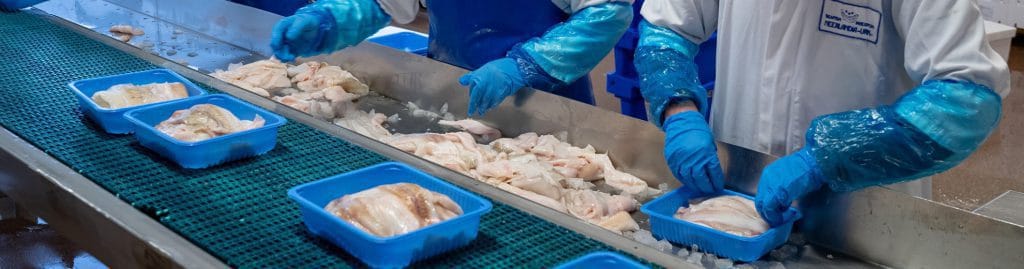 Verse filet in platic bakje