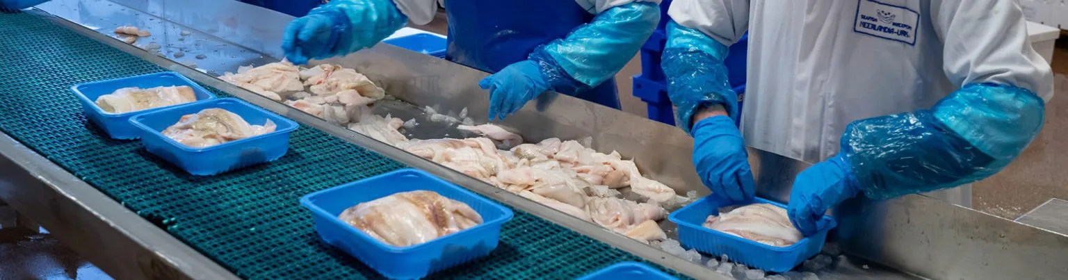 Heilbot vacuüm verpakt in Nordia Signature