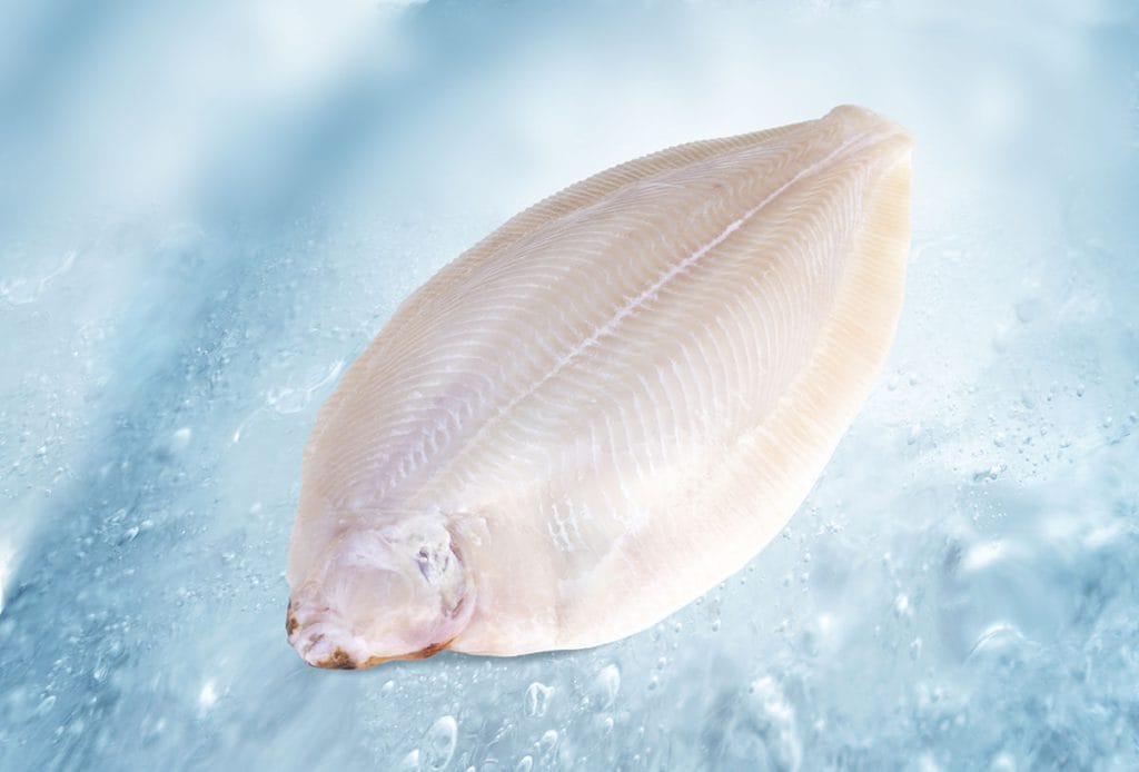 Limande sole sans peau