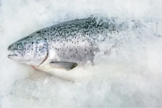 Arrival production facility