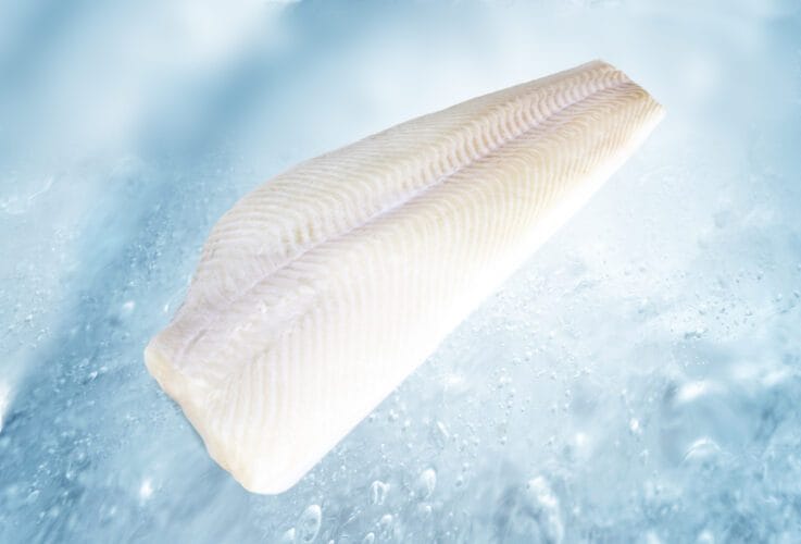 Heilbotfilet