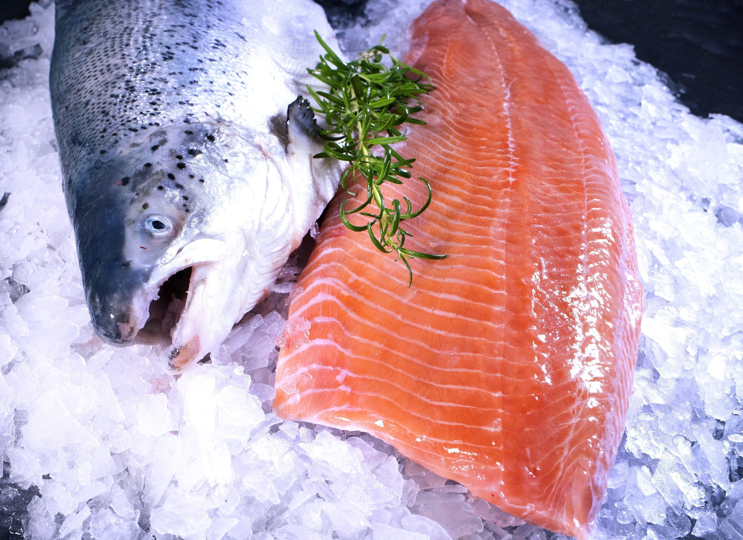 Filetto di salmone su ghiaccio