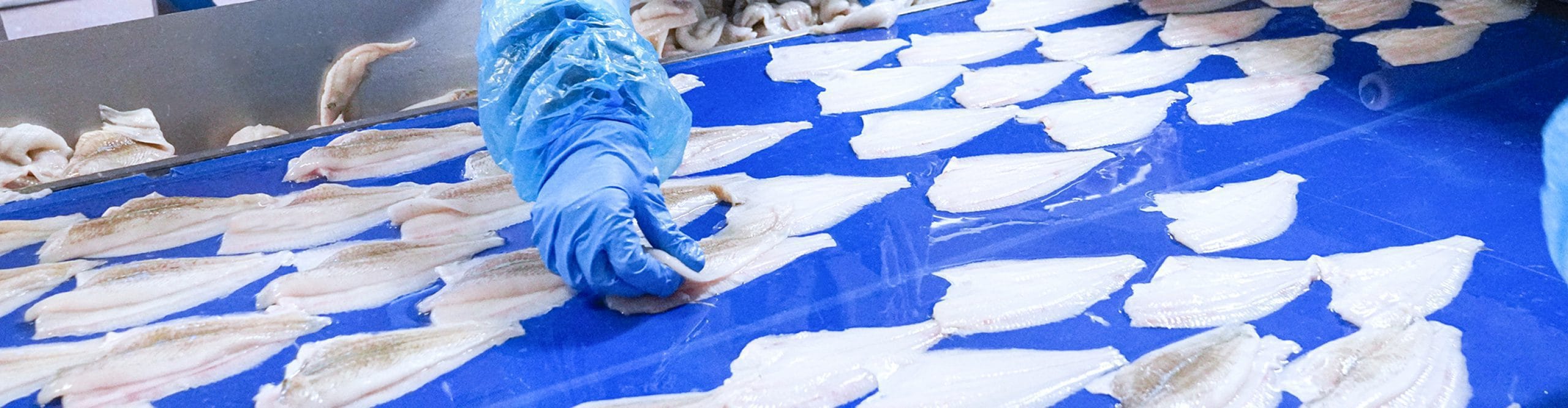 Alaska Plaice opleggen