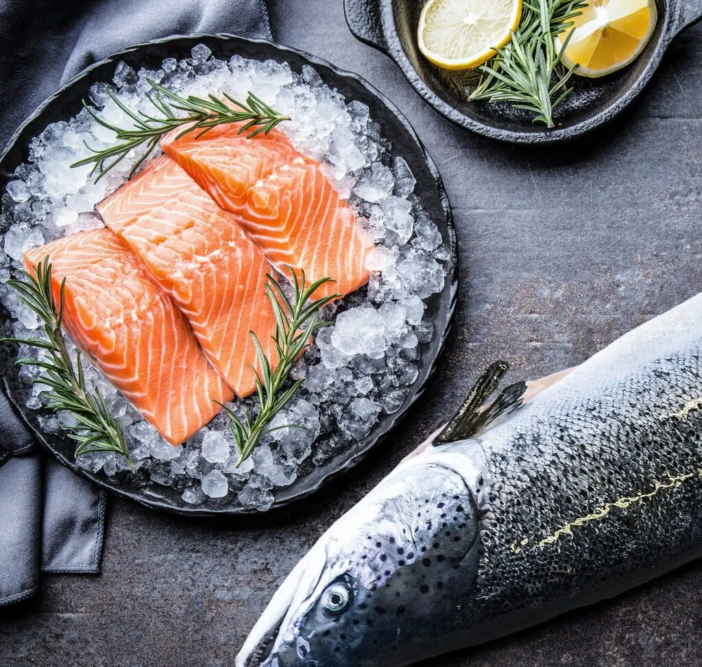 Opmaak van verse zalm met zalm filets op een bord