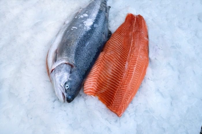Saumon norvégien dans la glace