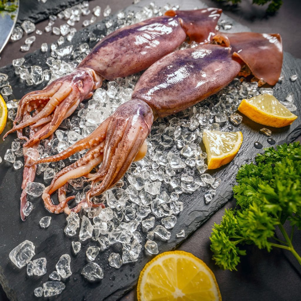 Tintenfisch