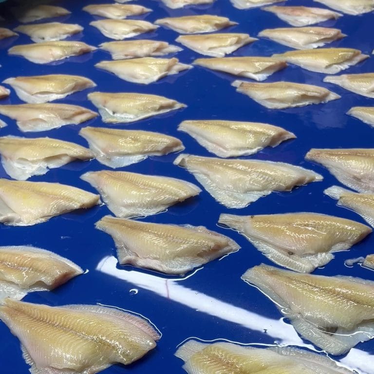 Yellowfin sole