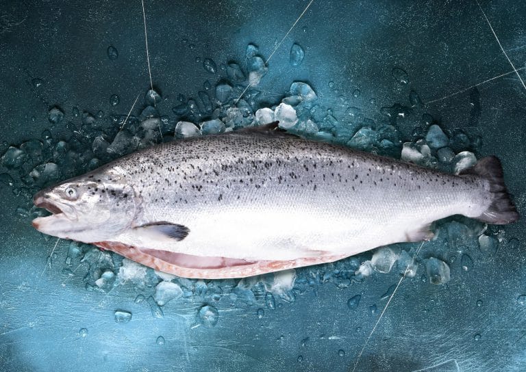 Zalm heel