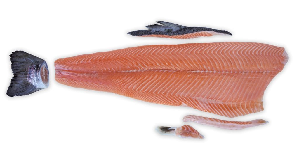 salmon trim f