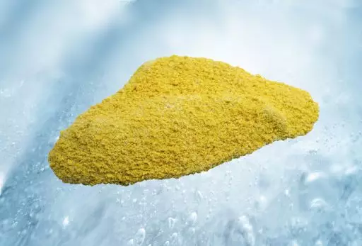 Fillet of brill with skin