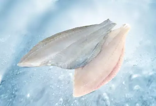 Fillet of brill with skin