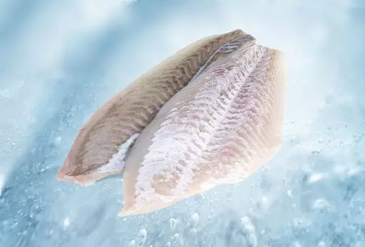 Fillet of brill with skin