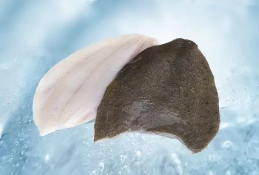 Fillet of brill with skin