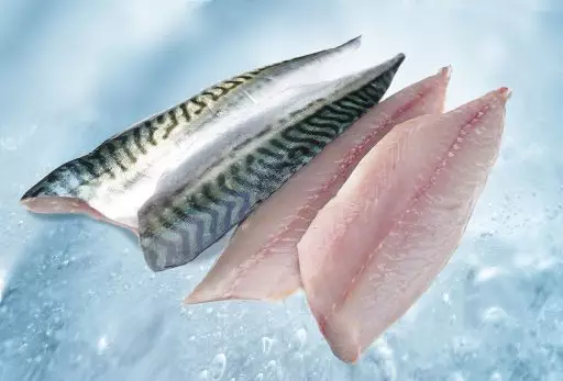 Mackerel fillet