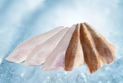 Filet vom Roter Knurrhahn