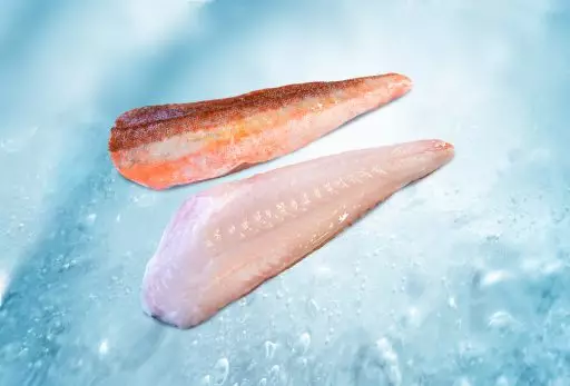 Filet vom Roter Knurrhahn