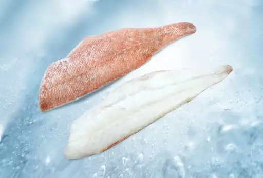 Atlantic redfish fillet