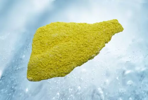 Tongscharfilet gepaneerd en voorgebakken