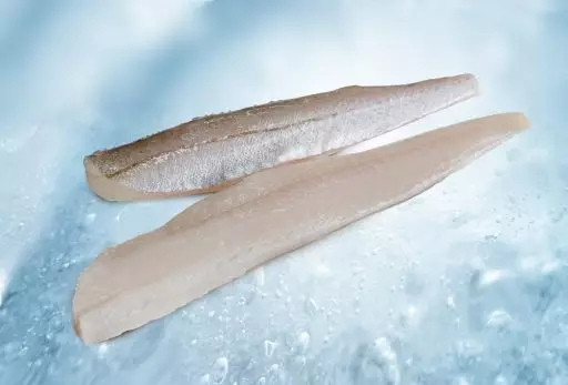 Fillet of brill with skin
