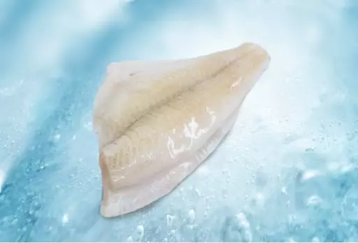 Lenguado de aleta amarilla doble