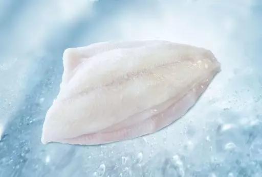 Fillet of brill with skin