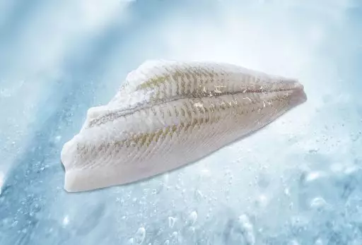 Fillet of brill with skin