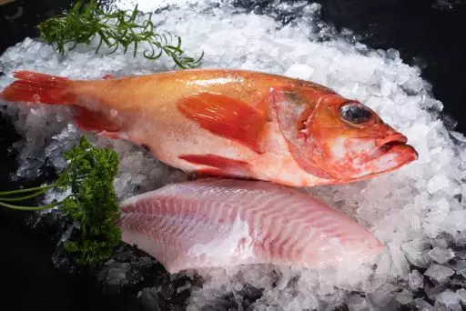 Atlantic redfish on ice