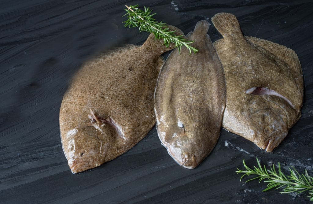 Fisch kaufen